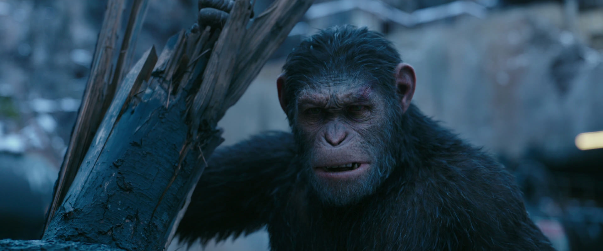 War for the Planet of the Apes (2017) screencap 8274