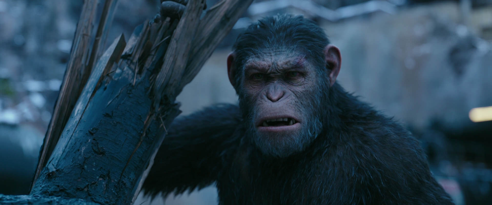 War for the Planet of the Apes (2017) movie still 8275