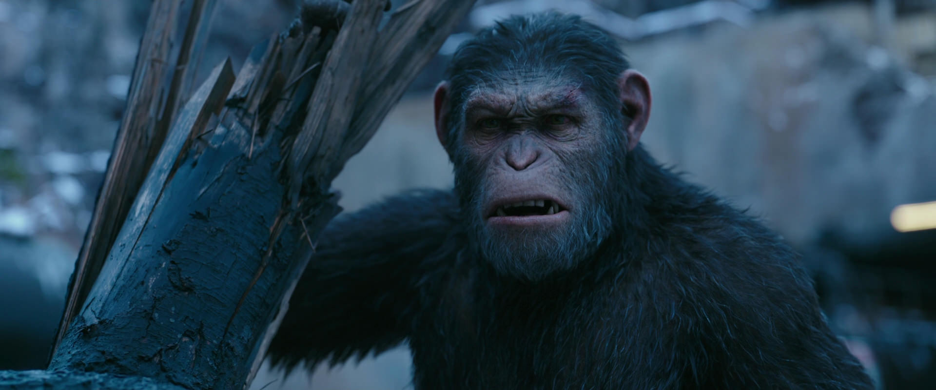 War for the Planet of the Apes (2017) HD screenshot 8276
