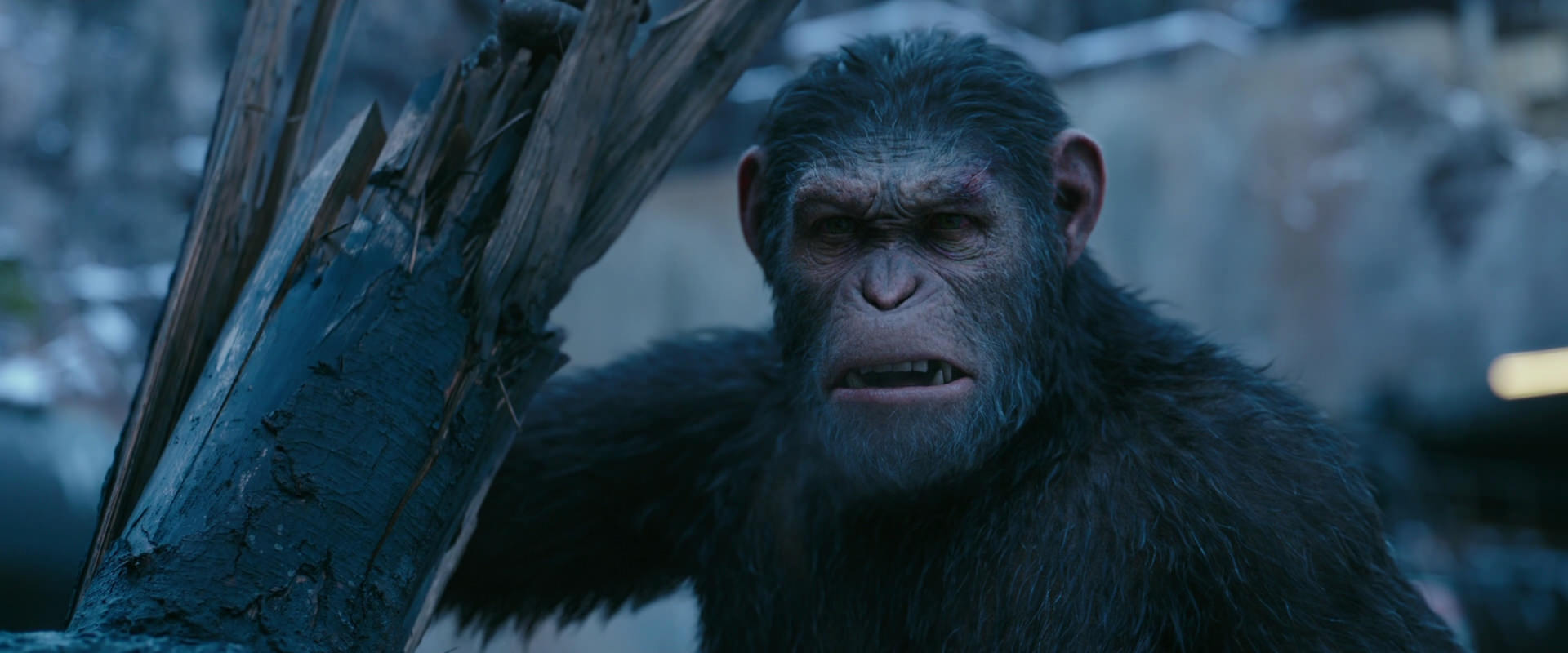 War for the Planet of the Apes (2017) screencap 8277