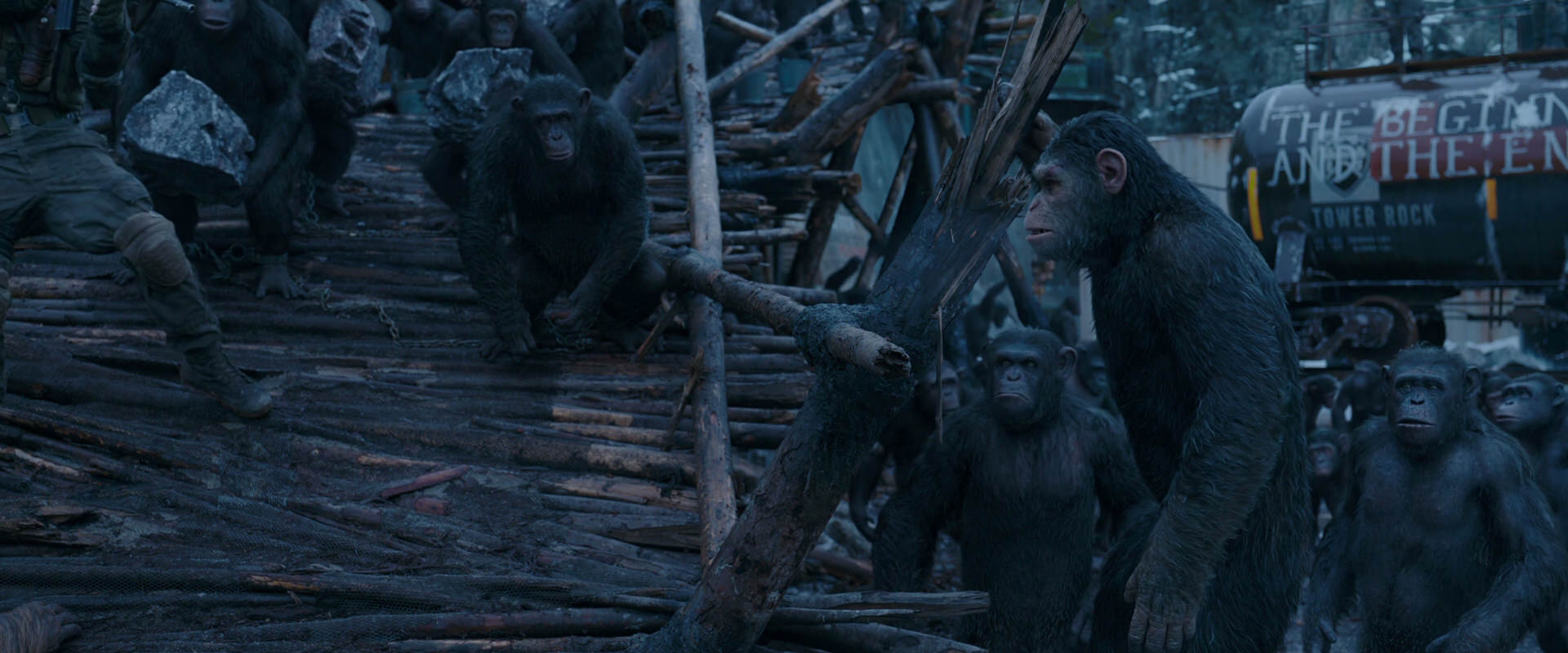 War for the Planet of the Apes (2017) movie still 8278