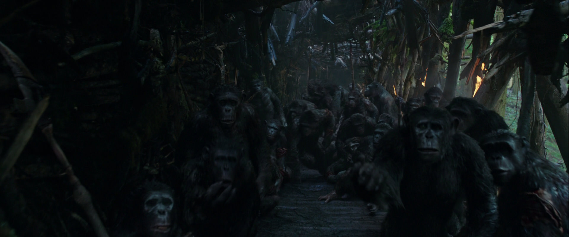 War for the Planet of the Apes (2017) screencap 828