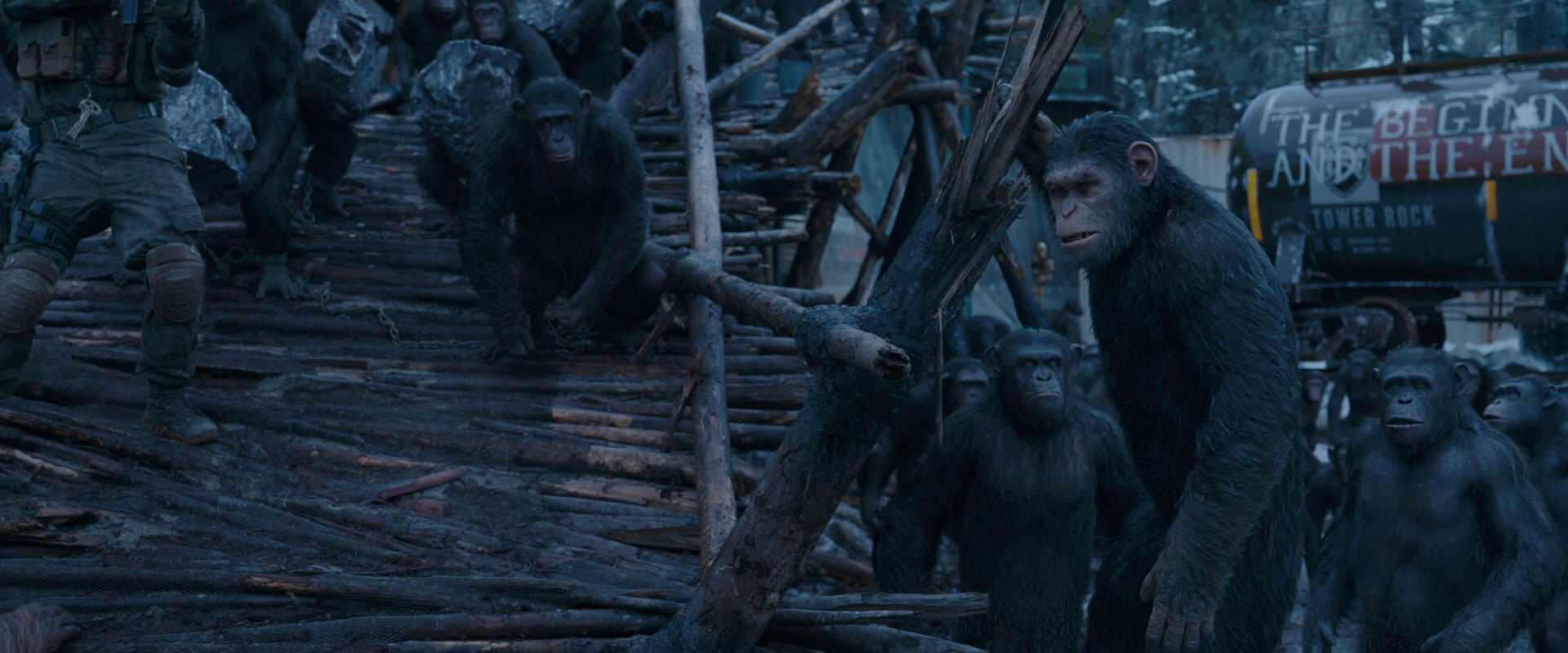 War for the Planet of the Apes (2017) screencap 8280