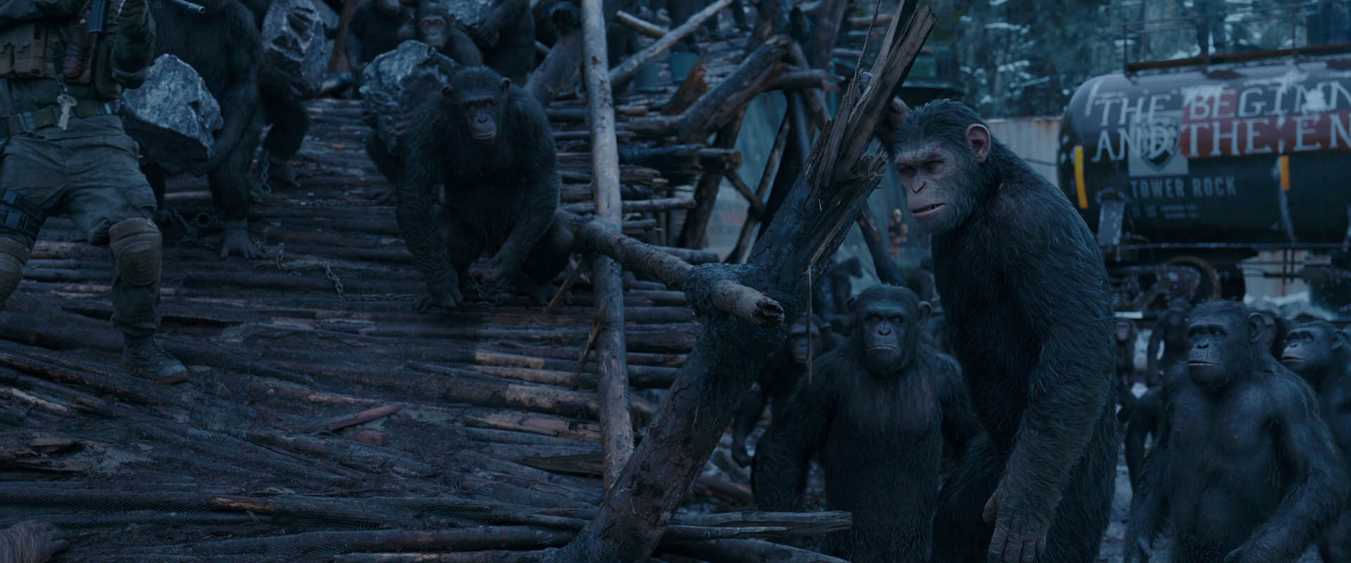 War for the Planet of the Apes (2017) movie still 8281