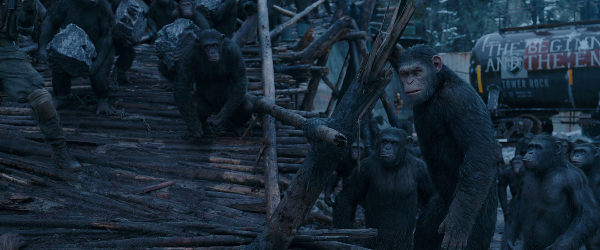 War for the Planet of the Apes (2017) screencap 8283