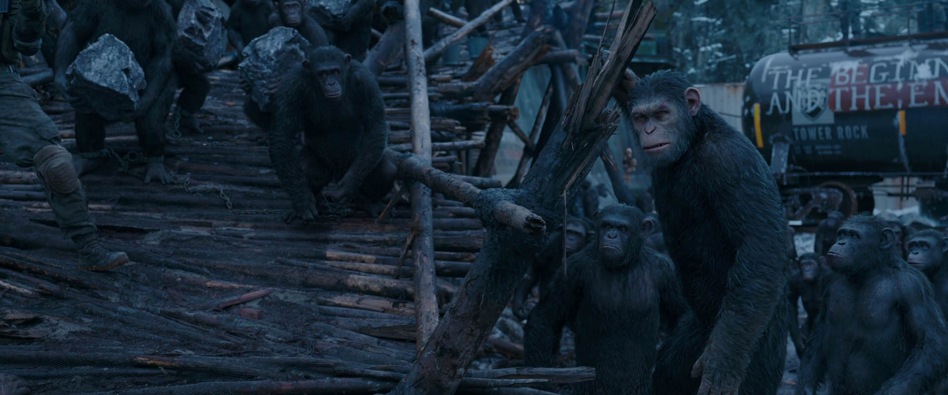 War for the Planet of the Apes (2017) movie still 8284