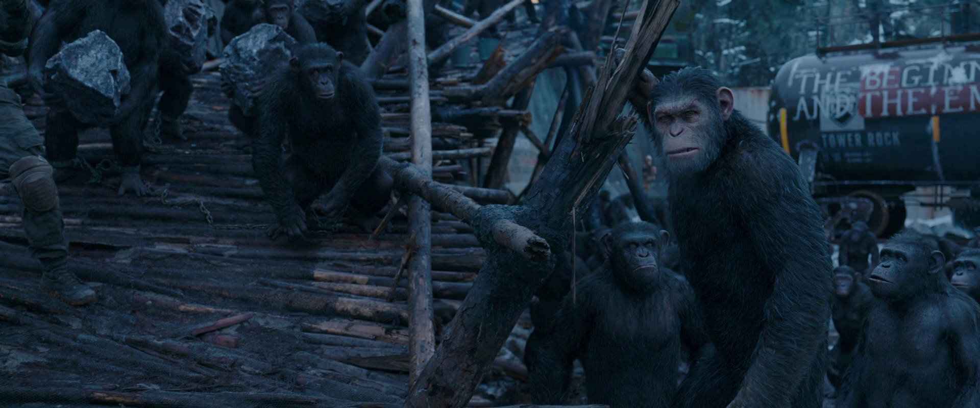 War for the Planet of the Apes (2017) screencap 8286