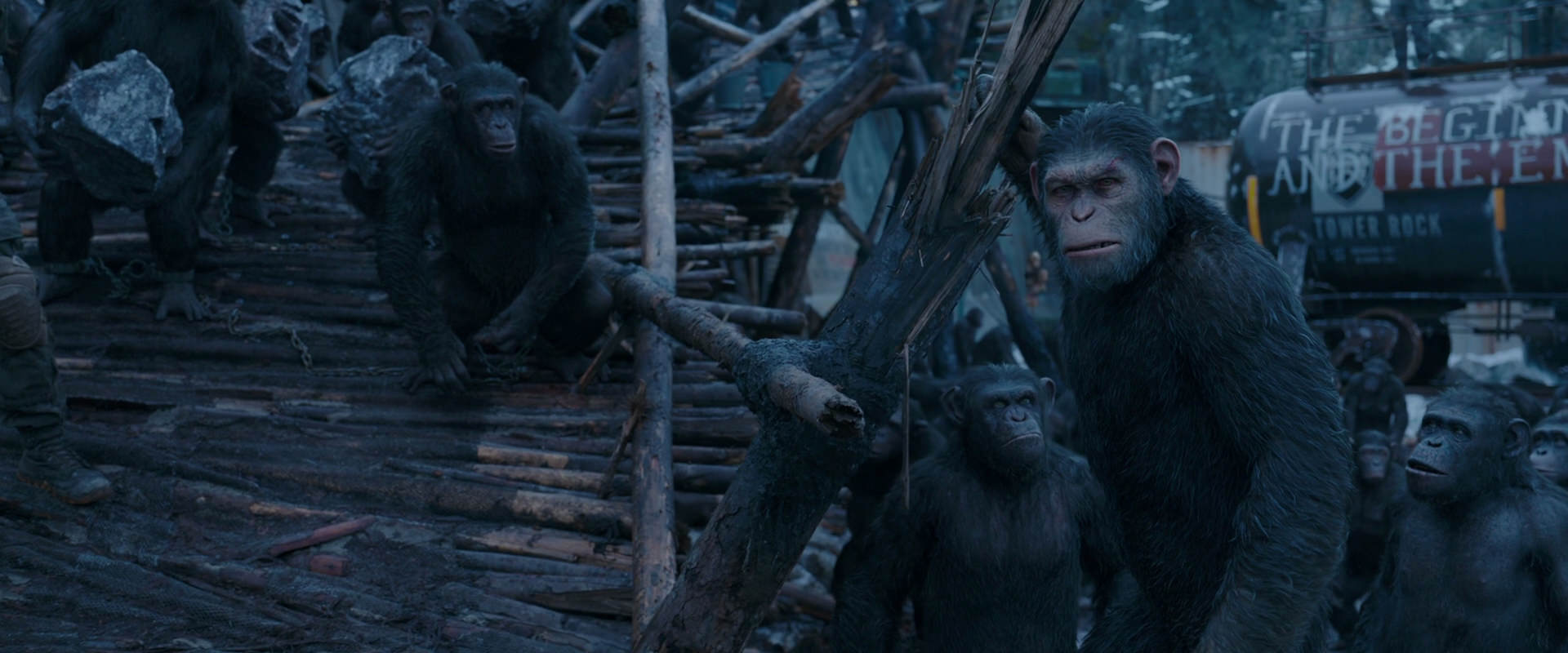 War for the Planet of the Apes (2017) movie still 8287