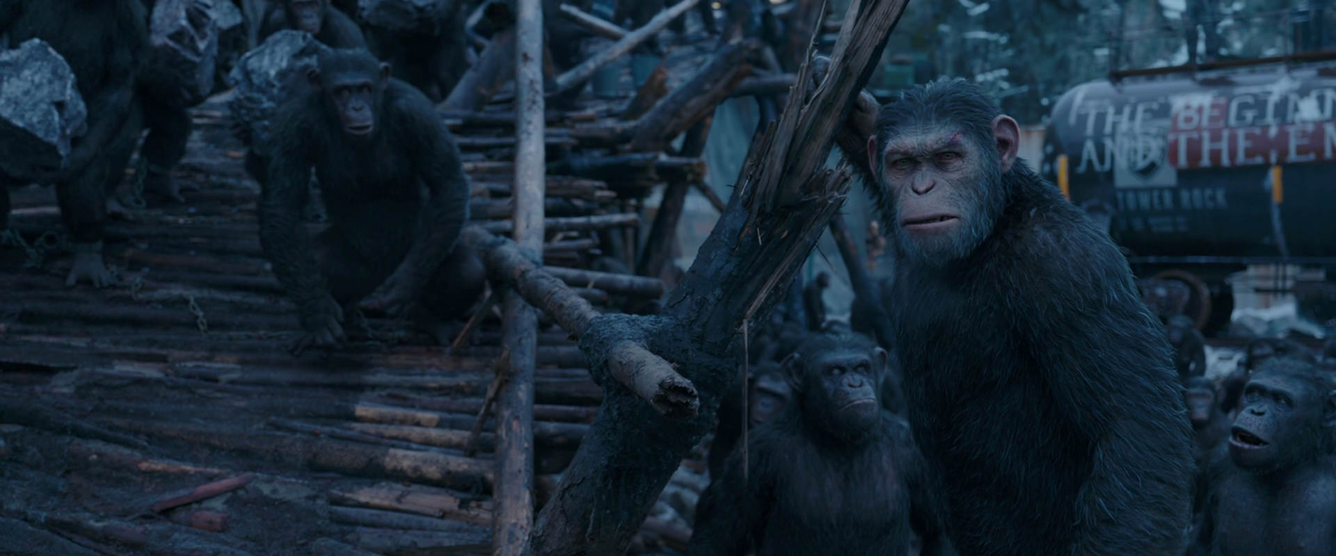 War for the Planet of the Apes (2017) screencap 8289