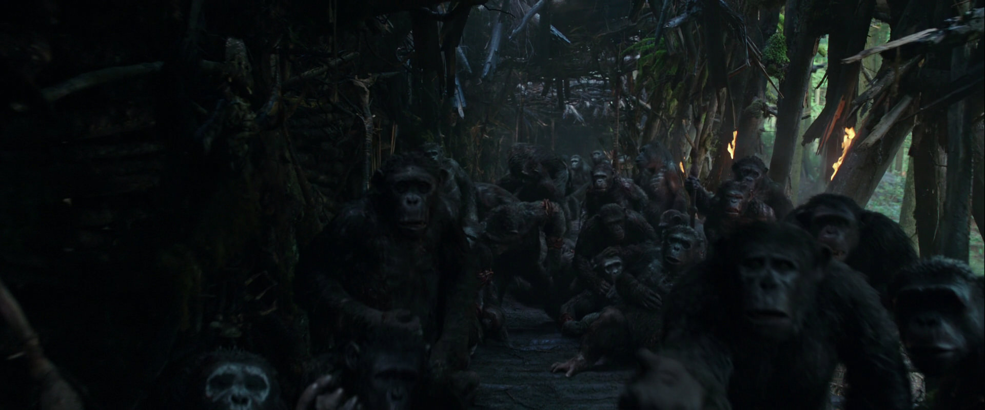 War for the Planet of the Apes (2017) movie still 829