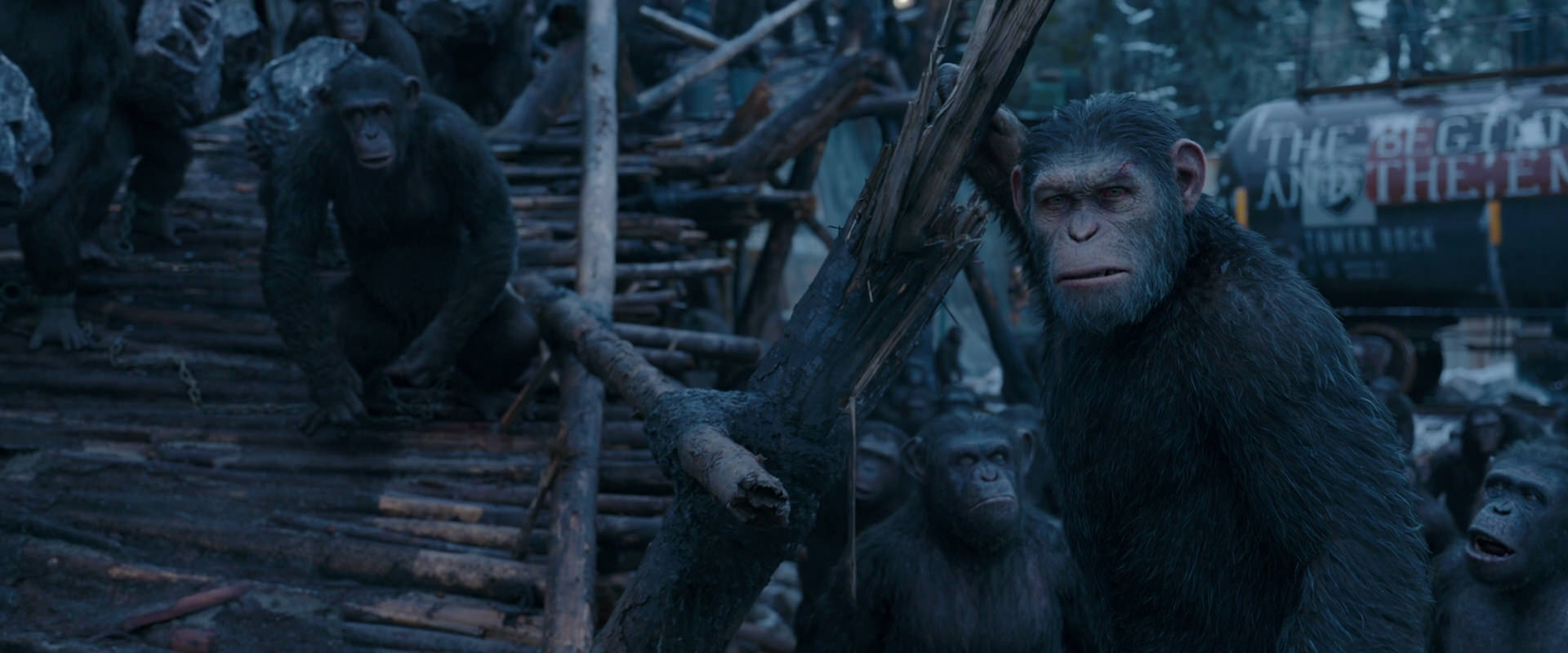 War for the Planet of the Apes (2017) movie still 8290