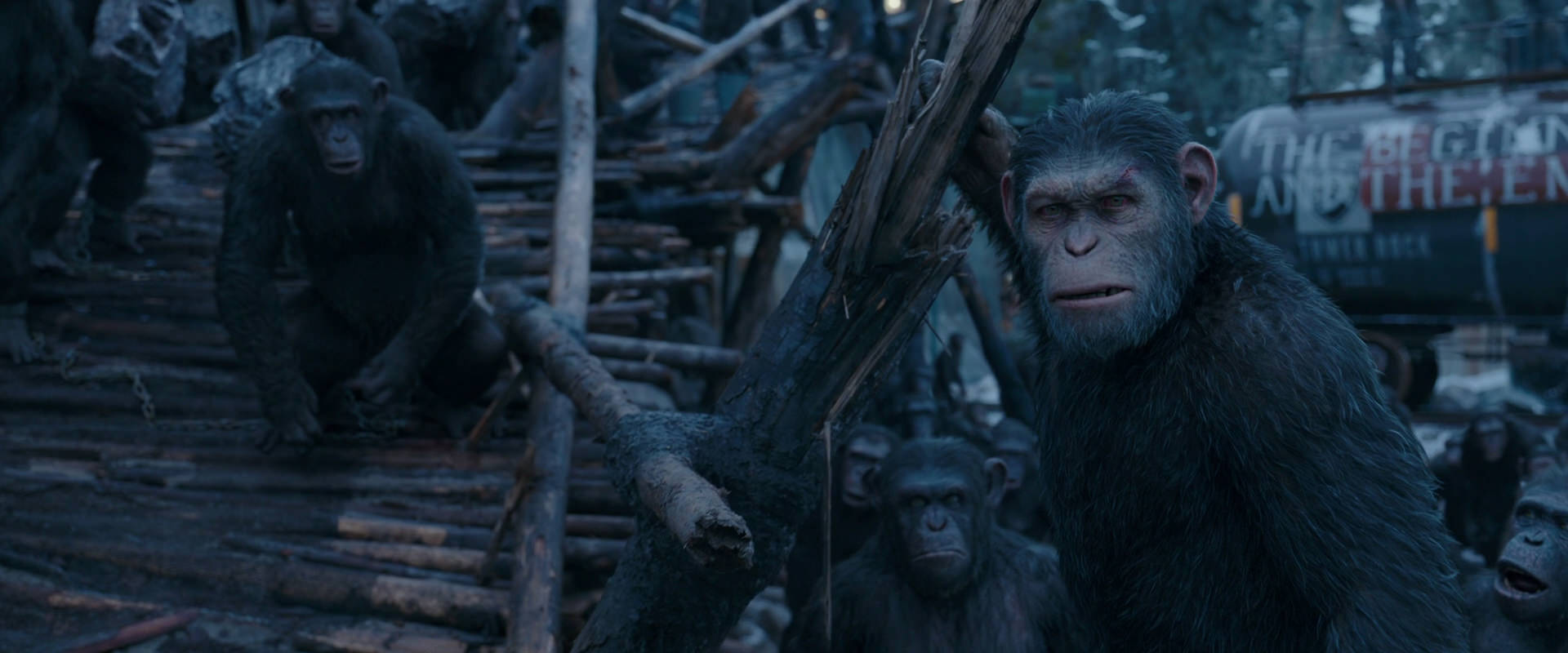 War for the Planet of the Apes (2017) HD screenshot 8291