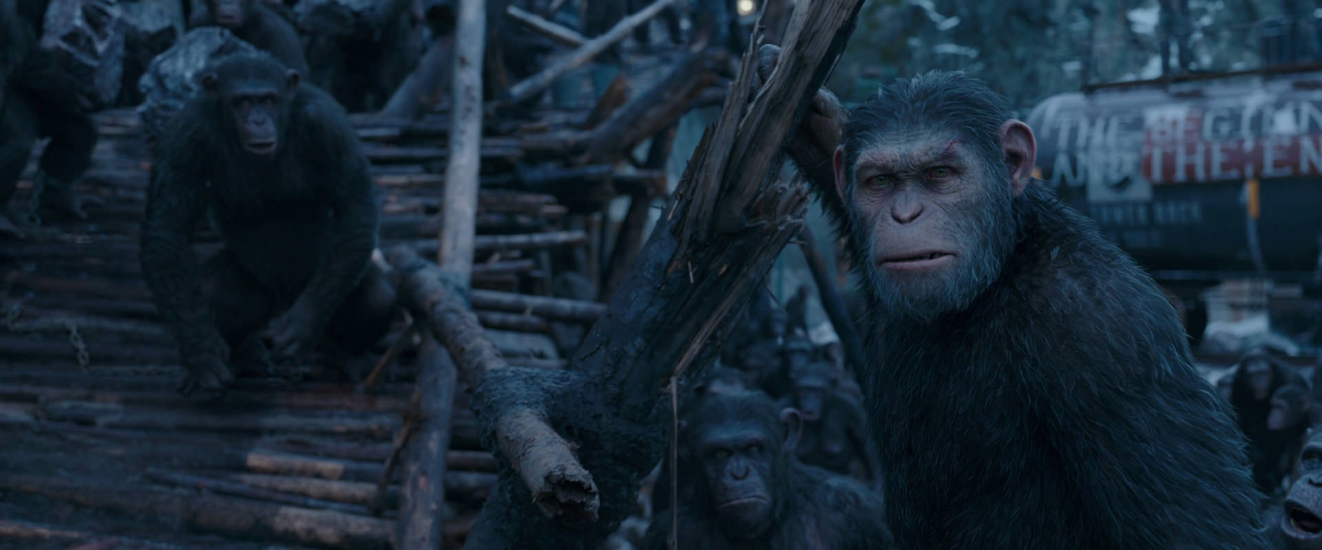 War for the Planet of the Apes (2017) screencap 8292