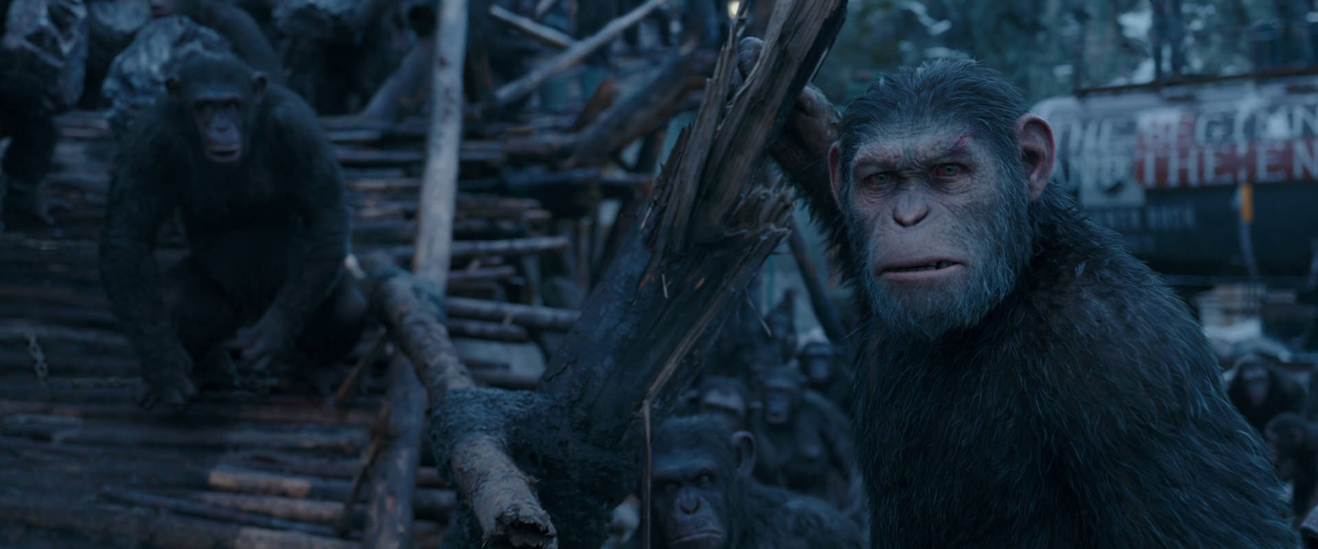 War for the Planet of the Apes (2017) movie still 8293