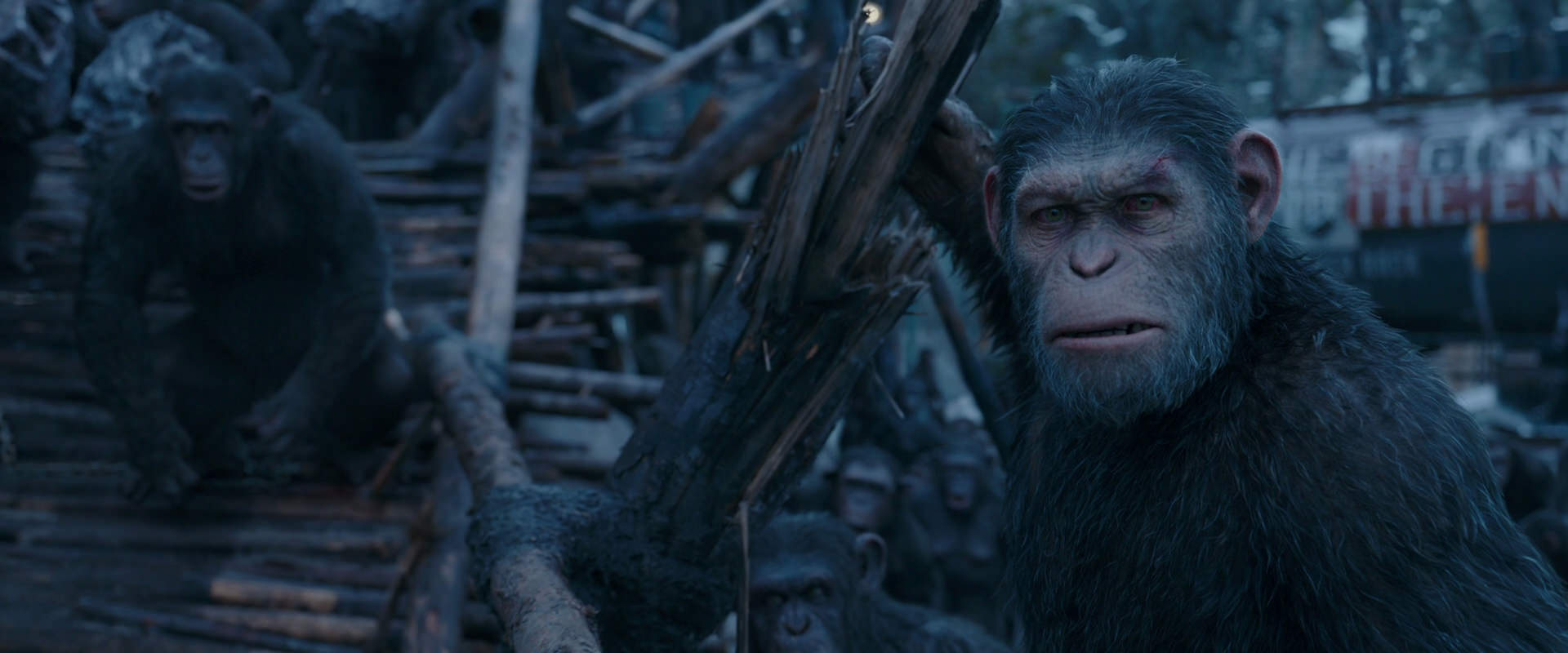 War for the Planet of the Apes (2017) HD screenshot 8294