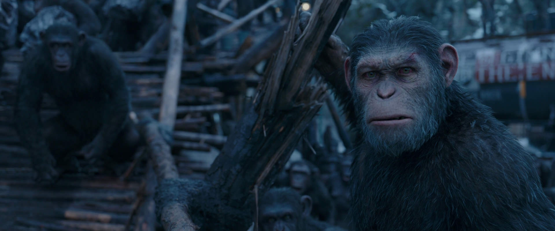 War for the Planet of the Apes (2017) screencap 8295