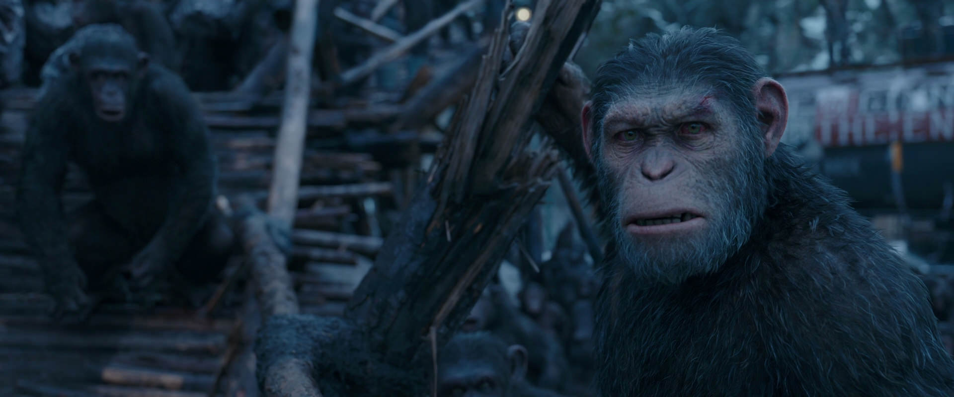 War for the Planet of the Apes (2017) movie still 8296
