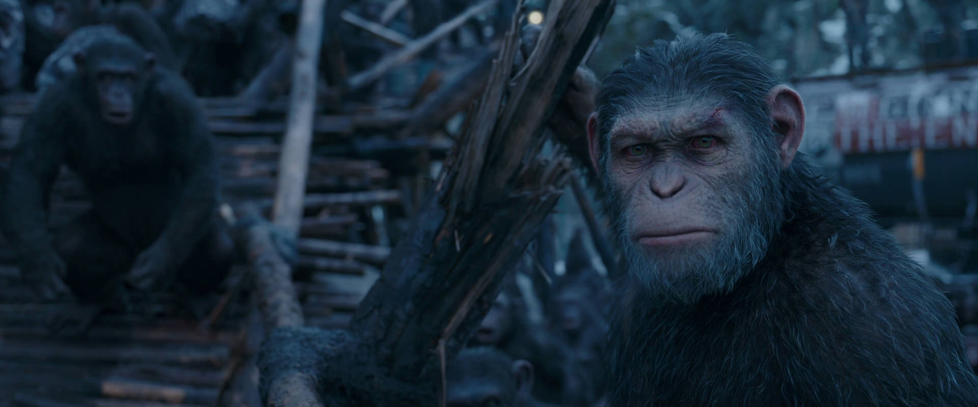 War for the Planet of the Apes (2017) HD screenshot 8297