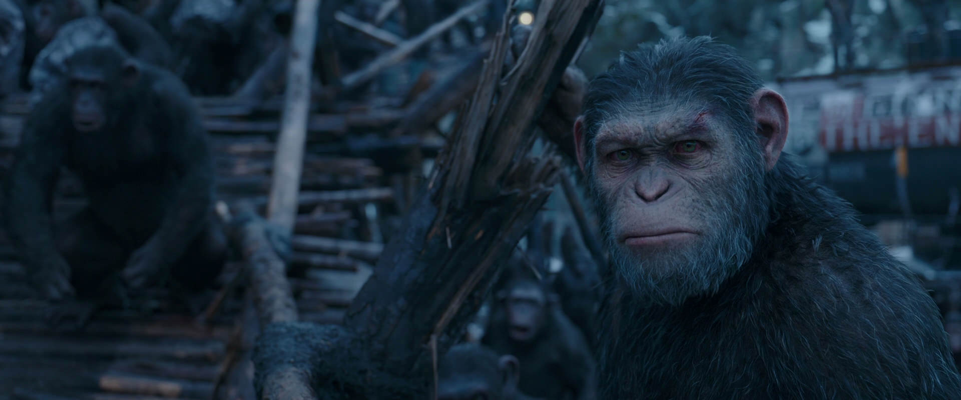 War for the Planet of the Apes (2017) screencap 8298