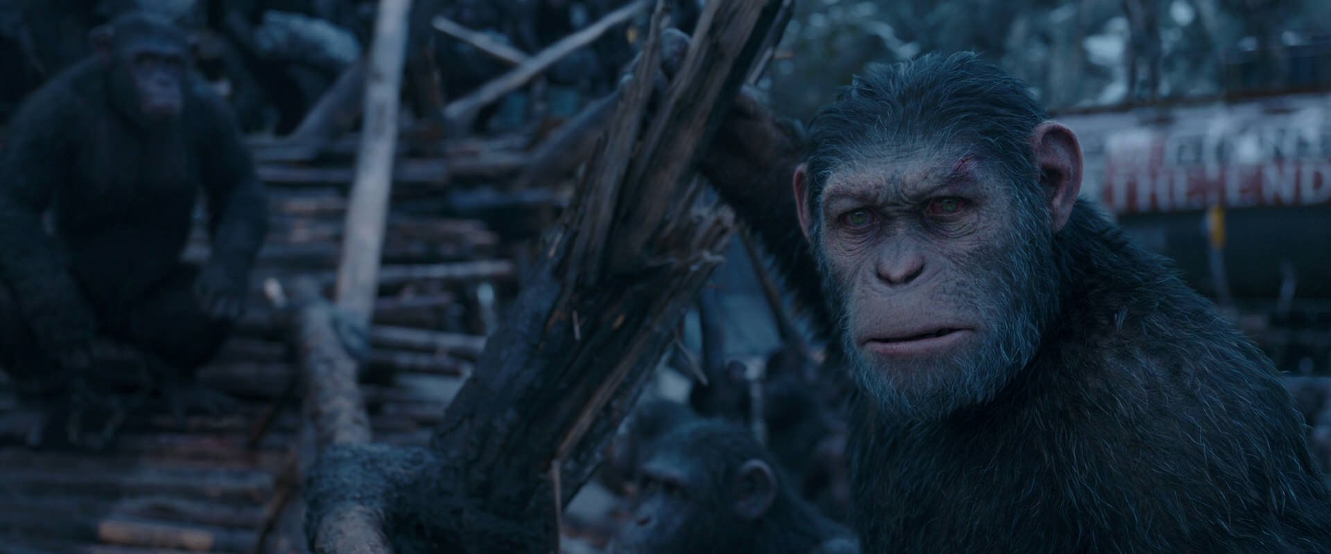 War for the Planet of the Apes (2017) screencap 8304