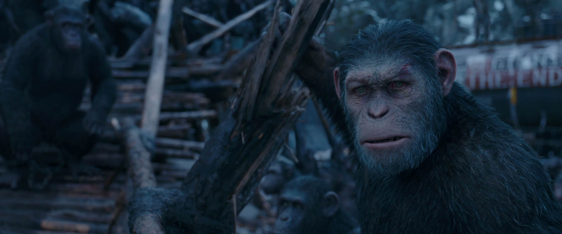 War for the Planet of the Apes (2017) movie still 8305
