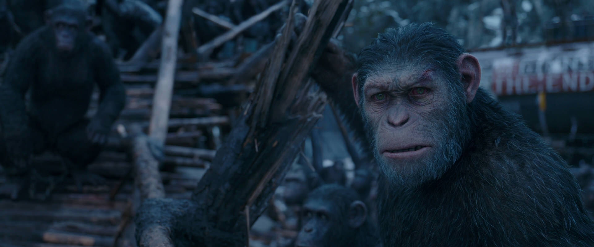 War for the Planet of the Apes (2017) HD screenshot 8306