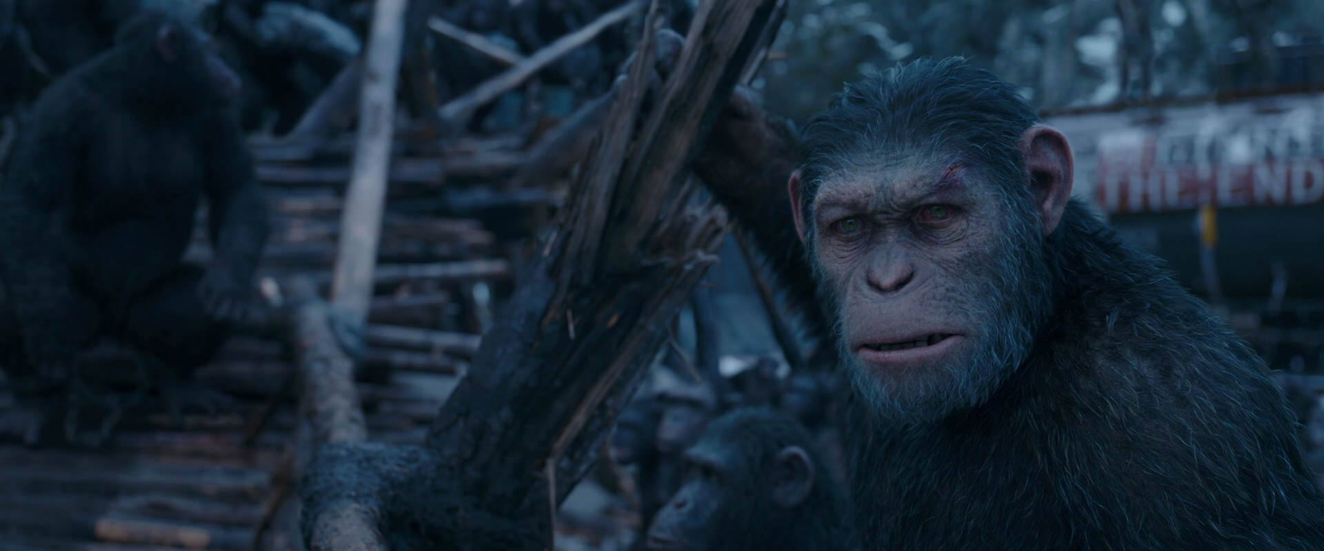 War for the Planet of the Apes (2017) screencap 8307