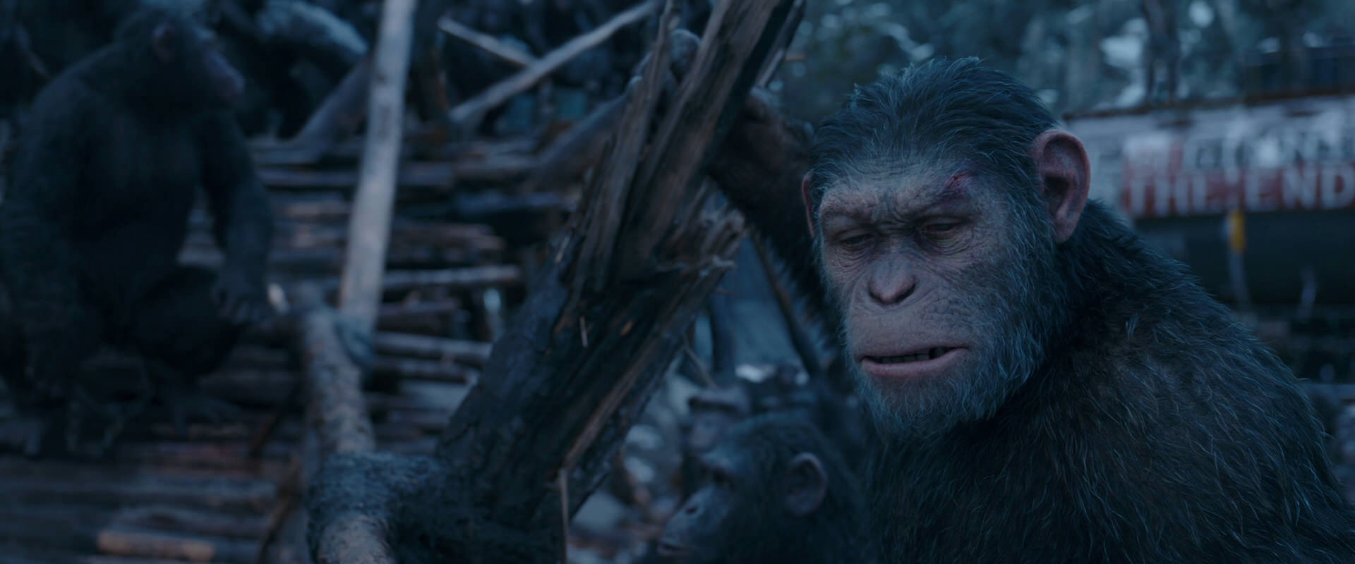 War for the Planet of the Apes (2017) movie still 8308