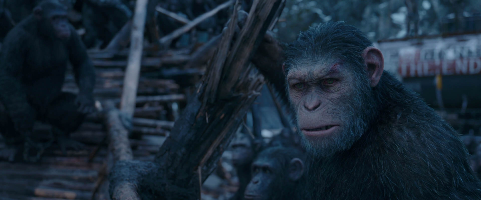 War for the Planet of the Apes (2017) HD screenshot 8309