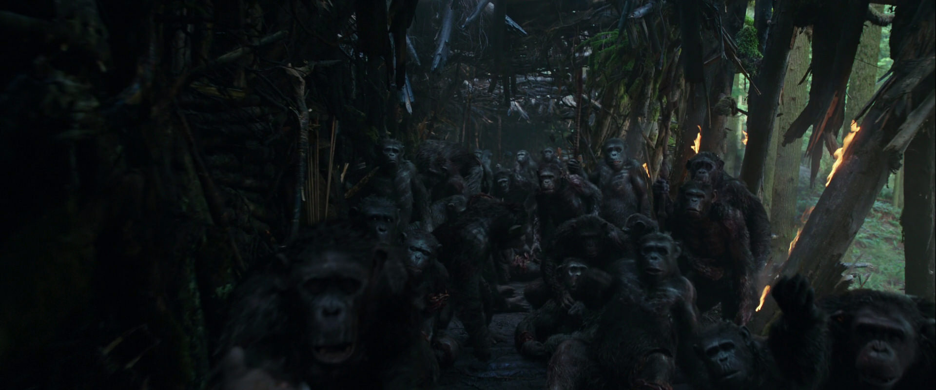 War for the Planet of the Apes (2017) screencap 831