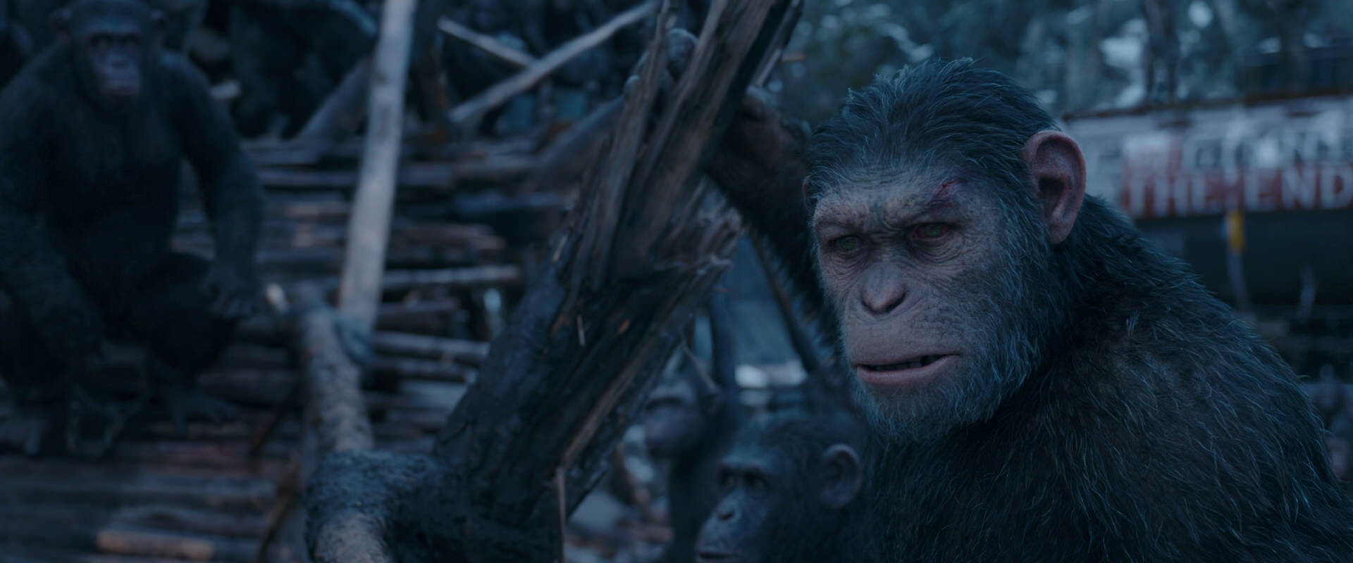 War for the Planet of the Apes (2017) screencap 8310