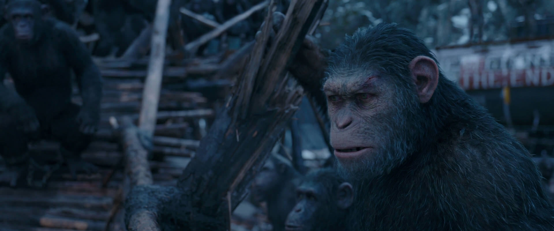 War for the Planet of the Apes (2017) movie still 8311