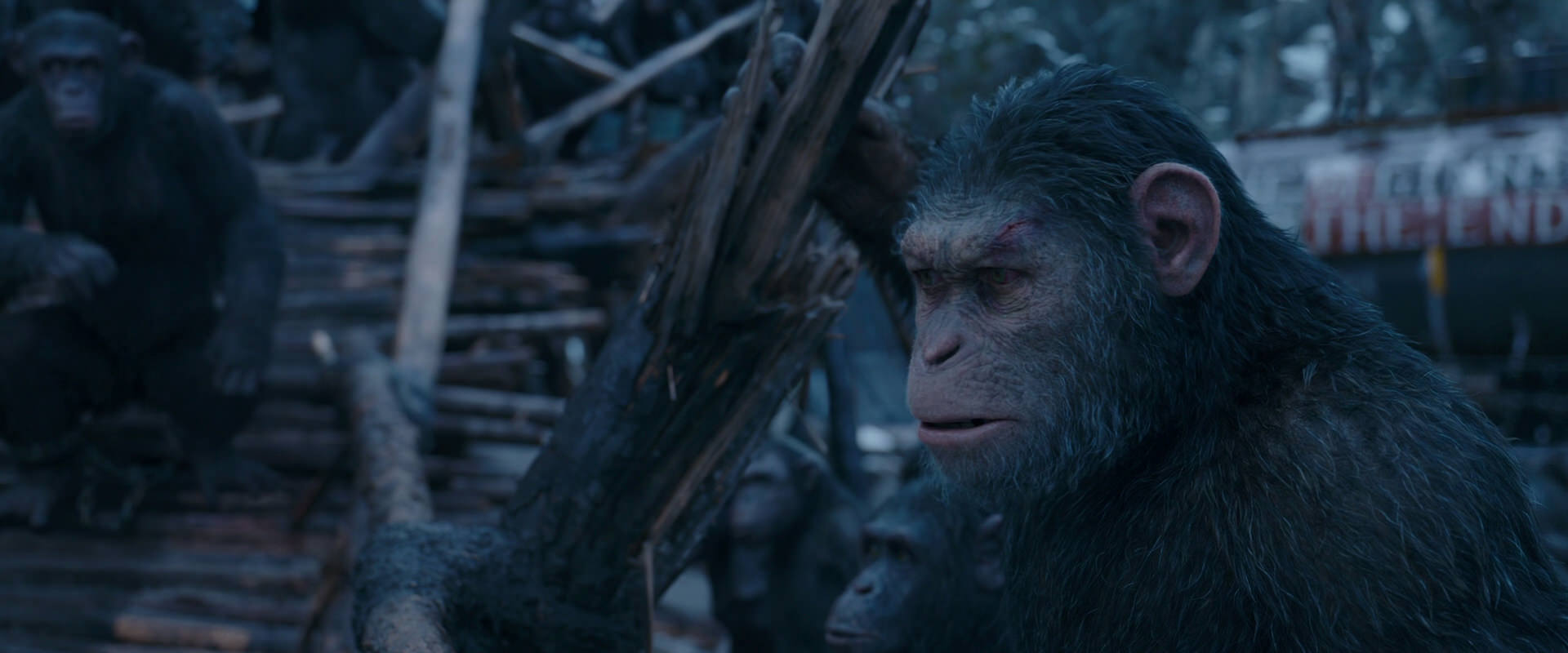 War for the Planet of the Apes (2017) HD screenshot 8312