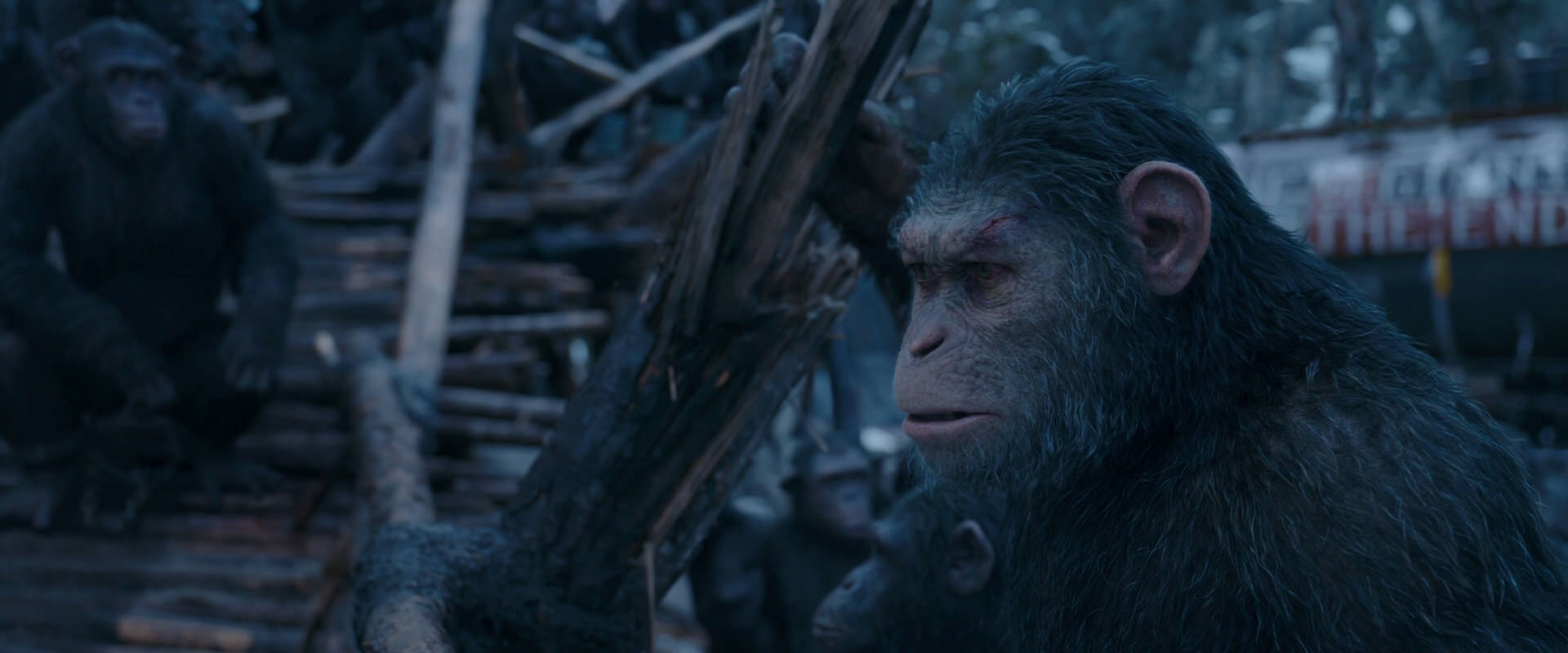 War for the Planet of the Apes (2017) screencap 8313