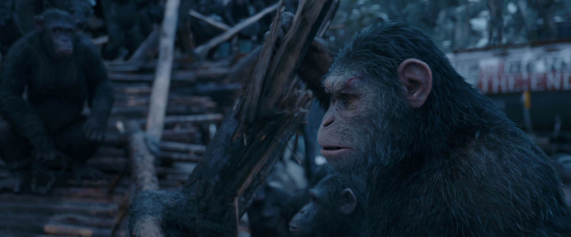 War for the Planet of the Apes (2017) movie still 8314