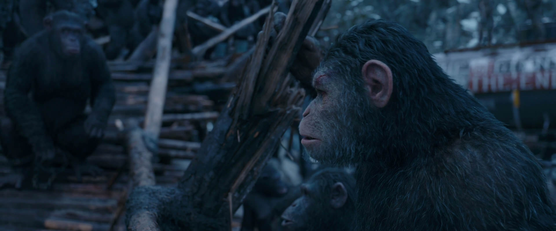 War for the Planet of the Apes (2017) HD screenshot 8315