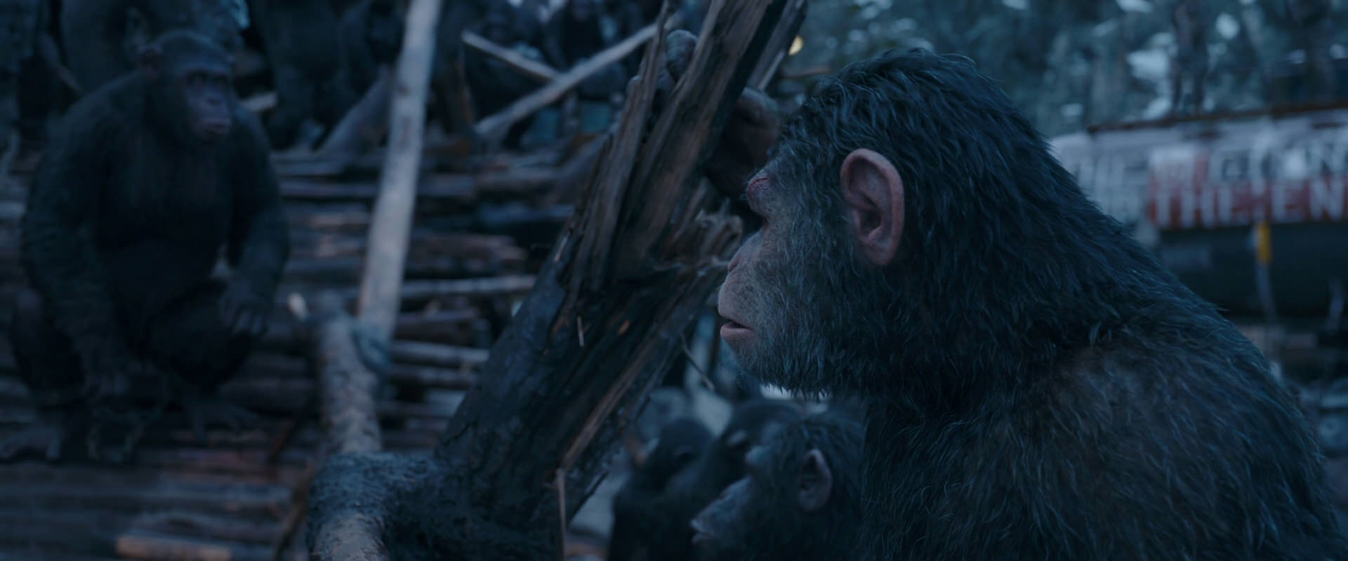 War for the Planet of the Apes (2017) screencap 8316