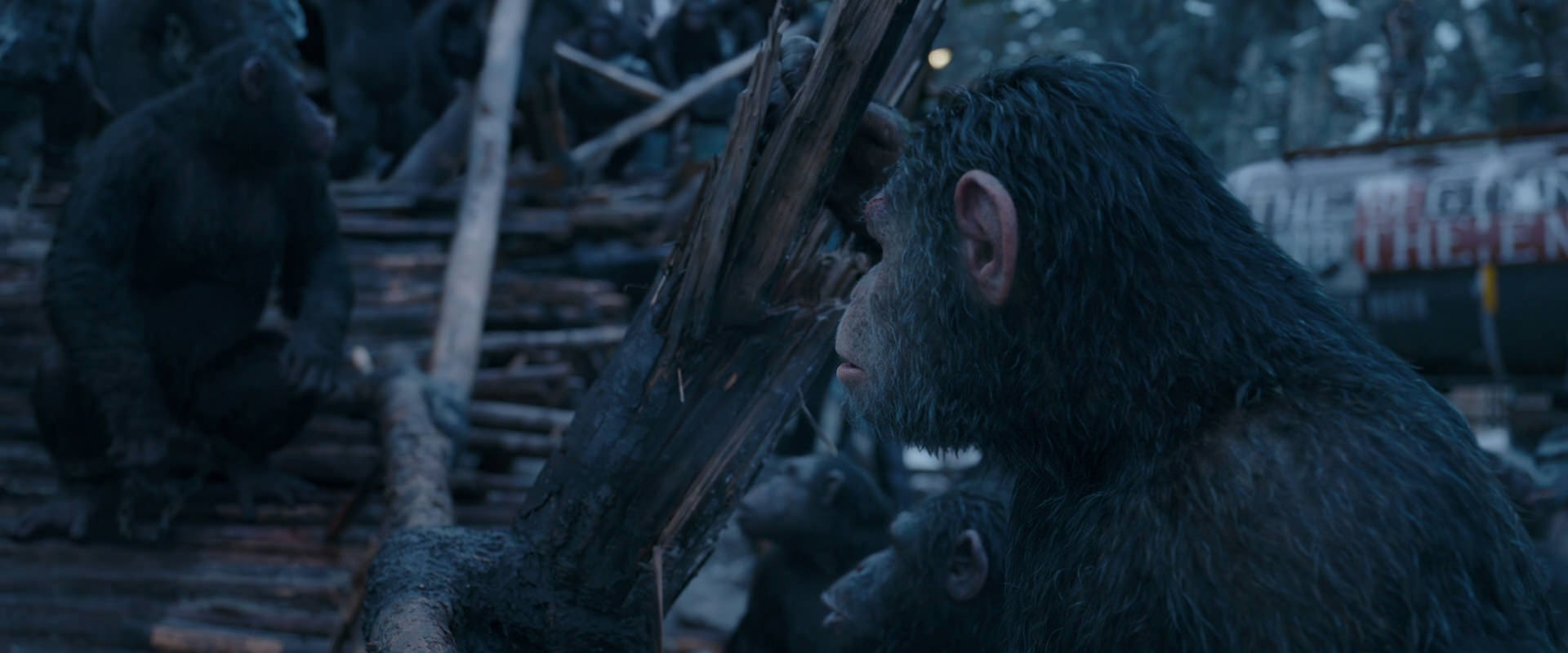 War for the Planet of the Apes (2017) movie still 8317