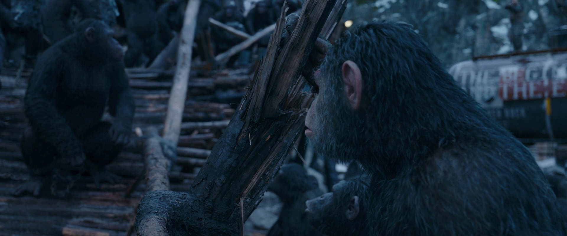 War for the Planet of the Apes (2017) HD screenshot 8318
