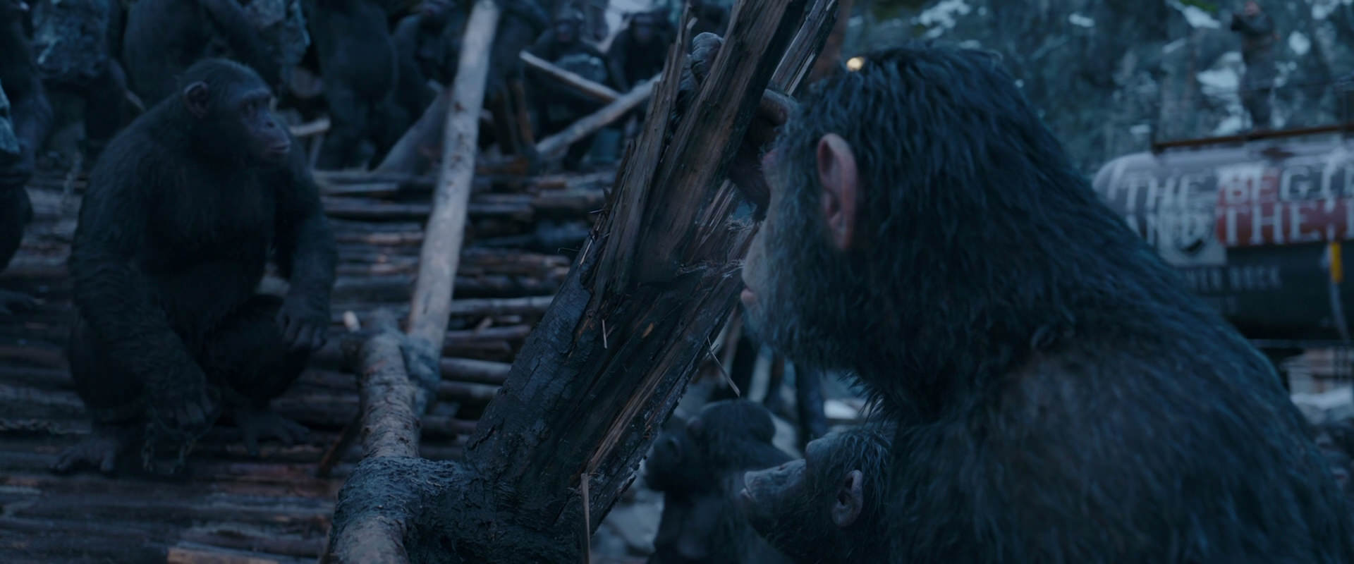 War for the Planet of the Apes (2017) screencap 8319