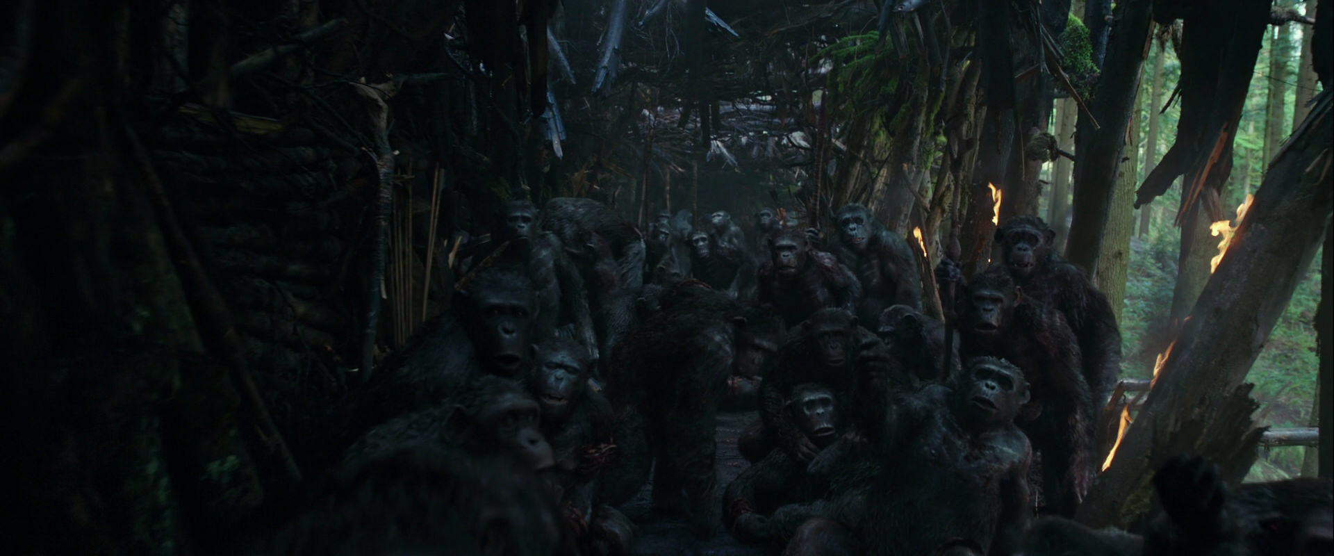 War for the Planet of the Apes (2017) movie still 832