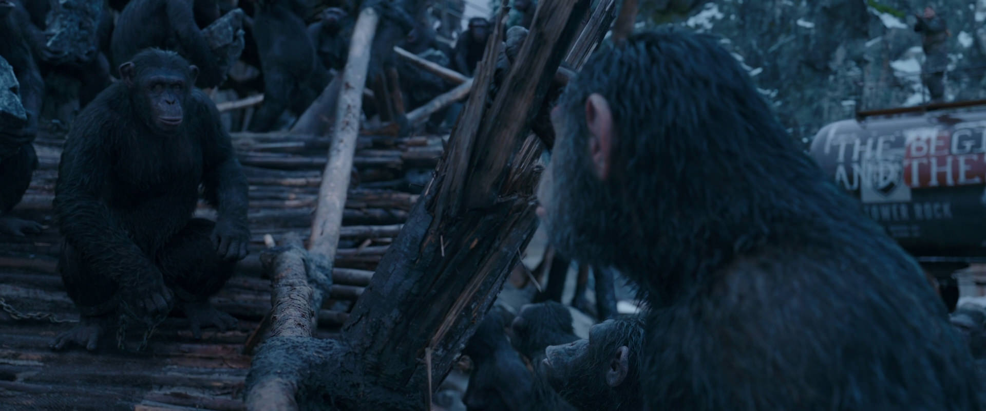 War for the Planet of the Apes (2017) movie still 8320