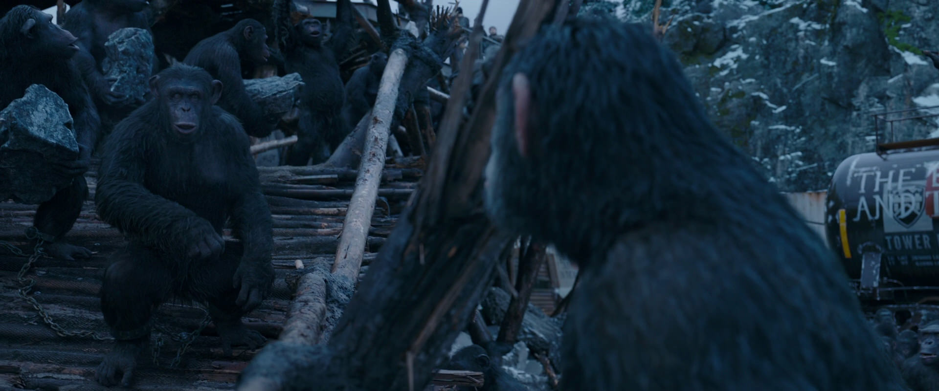War for the Planet of the Apes (2017) movie still 8323