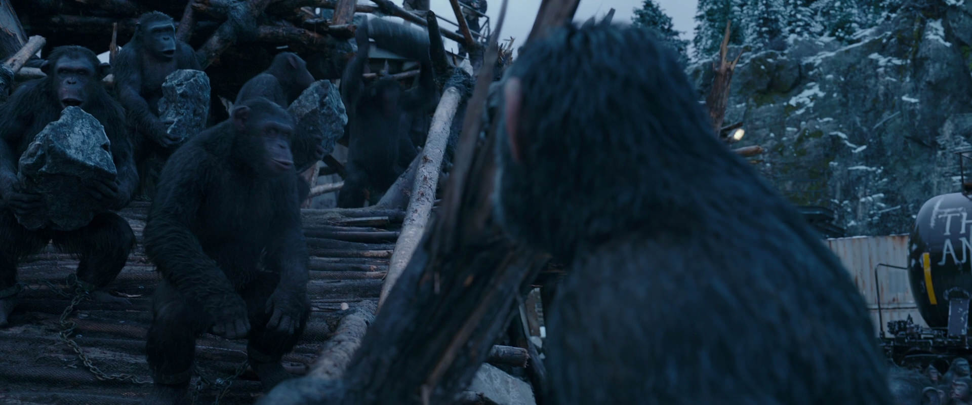 War for the Planet of the Apes (2017) screencap 8325