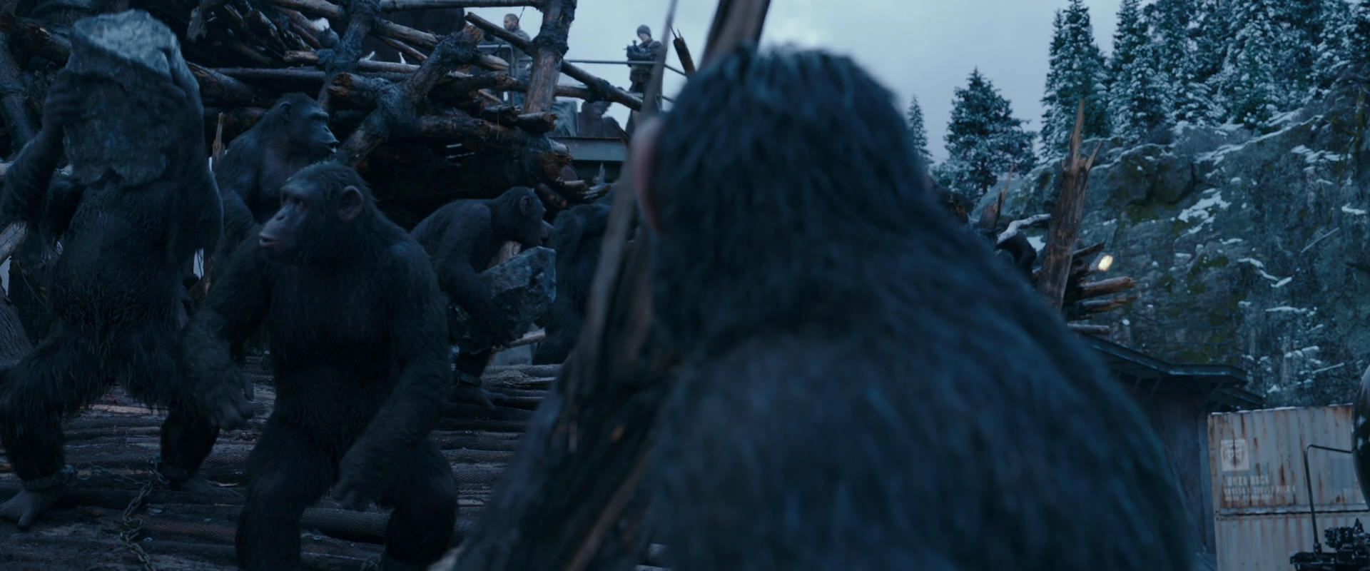 War for the Planet of the Apes (2017) screencap 8328