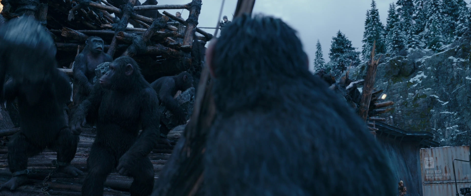 War for the Planet of the Apes (2017) movie still 8329