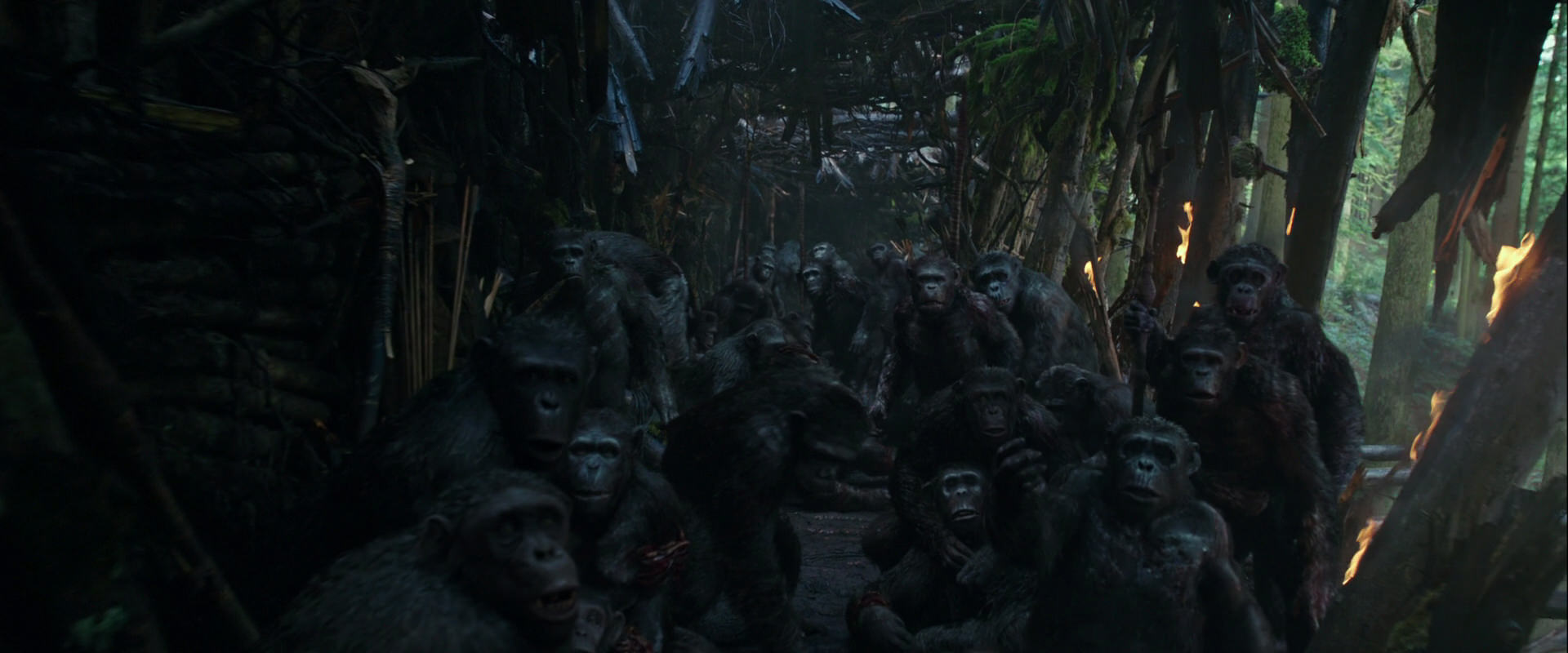 War for the Planet of the Apes (2017) HD screenshot 833