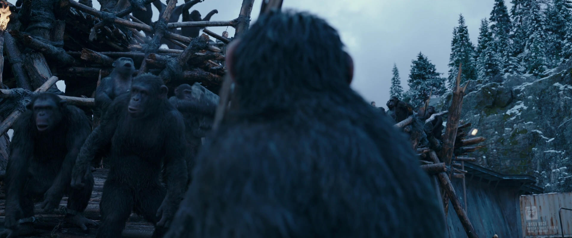War for the Planet of the Apes (2017) screencap 8331