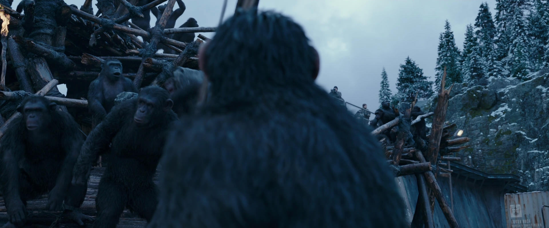 War for the Planet of the Apes (2017) movie still 8332