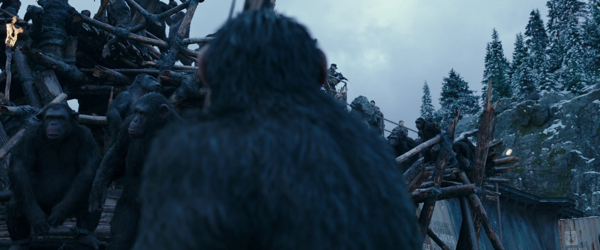 War for the Planet of the Apes (2017) HD screenshot 8333
